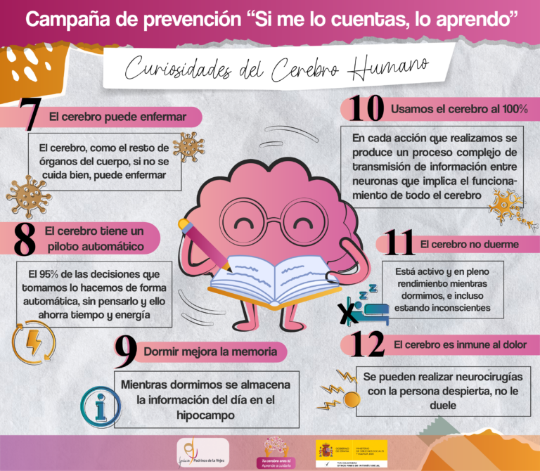 Curiosidades del cerebro 2