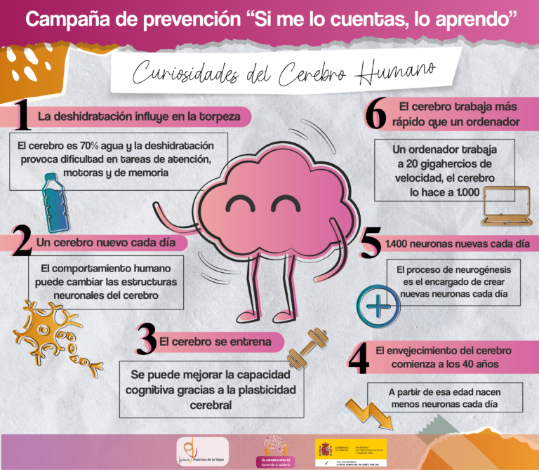 Curiosidades del cerebro