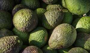 Grupo de aguacates