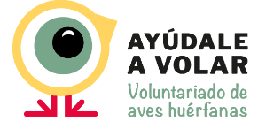 Ayúdale a volar voluntariado