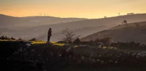 Hombre mayor con baston en la naturaleza al atardecer