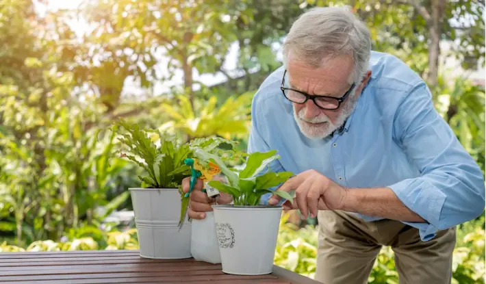 Hombre mayor en jardin regando plantas