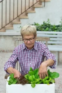 Mujer mayor con maceta y lechugas