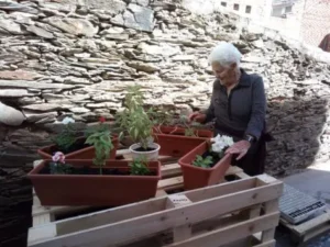 Mujer mayor con macetas en patio de casa