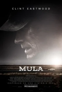 Pelicula mula