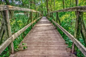 Puente madera accesible