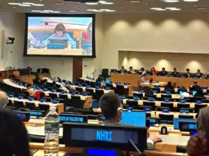 Reunión envejecimiento grupo oewga