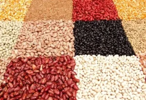 Variedad de legumbres