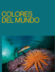 Estrella de mar naranja sobre una roca en el fondo del mar