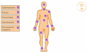 Figura del cuerpo humano con círculos en diferentes para fomentar su ejercicio