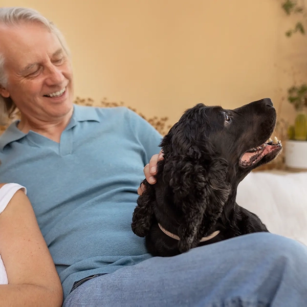 terapia asistida con animales
